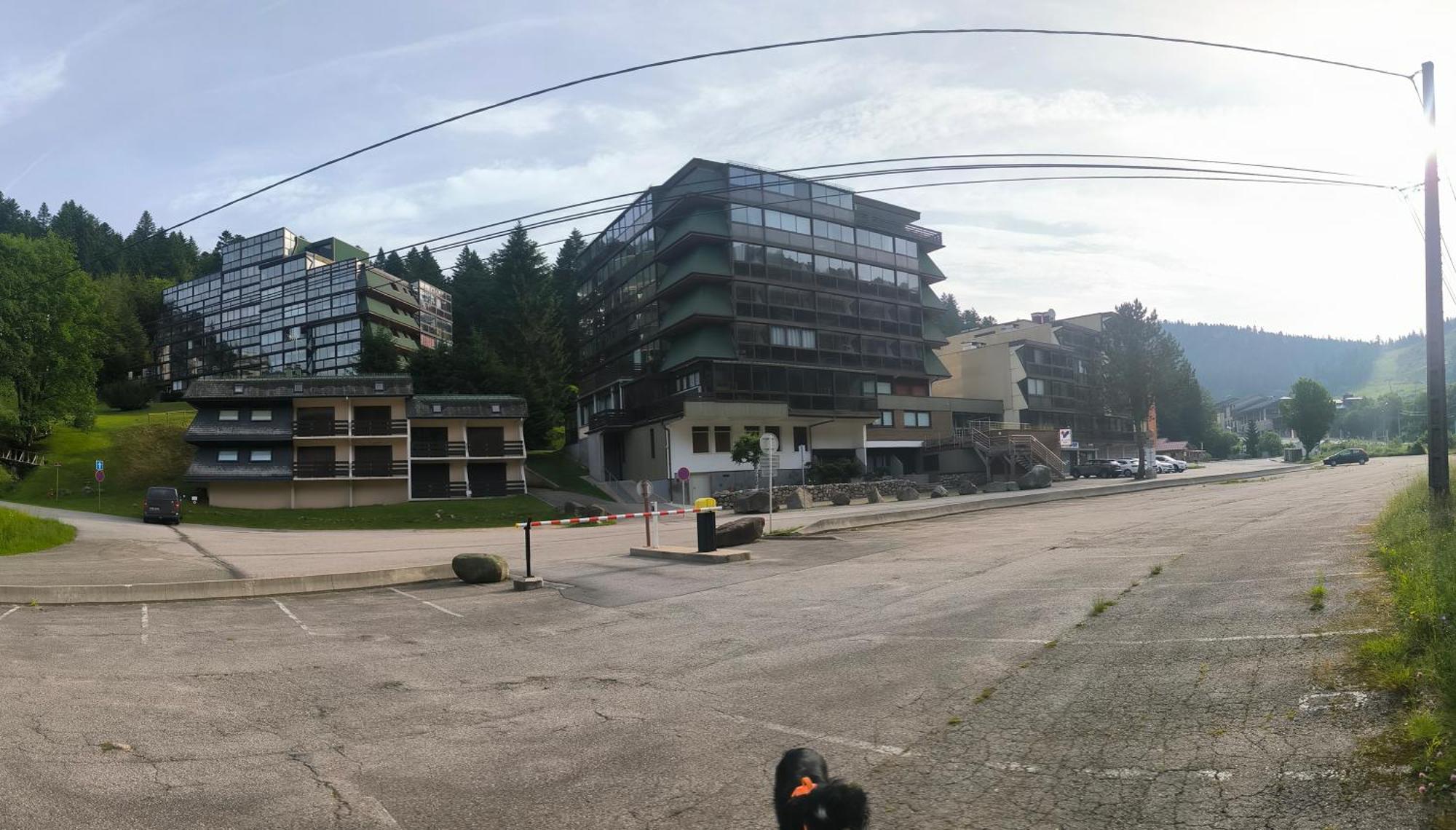 Appartement La Bulle Des Sapins à La Bresse Extérieur photo